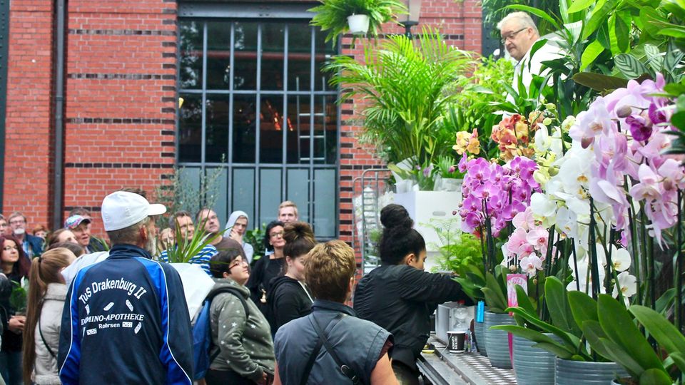 Dieter (l.) schaut sich den Blumenverkaufsstand an Dieter (l.) schaut sich den Blumenverkaufsstand an