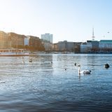 Binnenalster in Hamburg