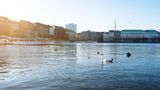 Binnenalster in Hamburg