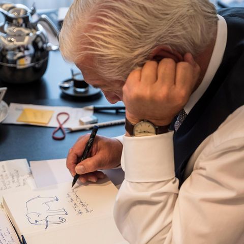 Frank-Walter Steinmeier: der Bundespräsident im Porträt