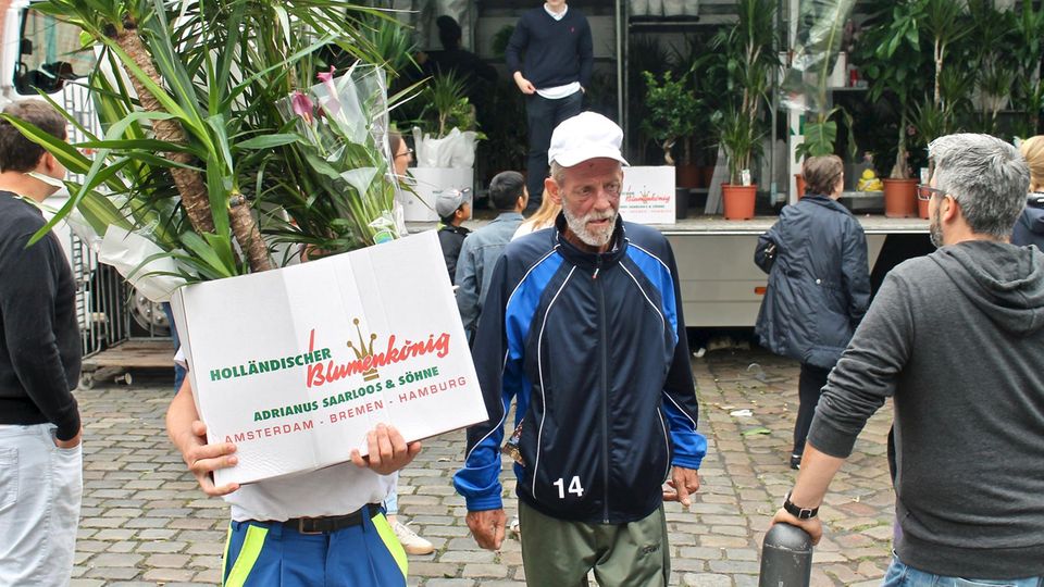 Dieter hat sich einen Karton Pflanzen gekauft. Frank trägt sie für ihn Dieter hat sich einen Karton Pflanzen gekauft. Frank trägt sie für ihn