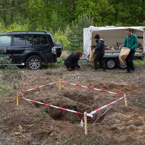 Das Nest ist bis auf die Wurzeln ausgehoben und ­verladen