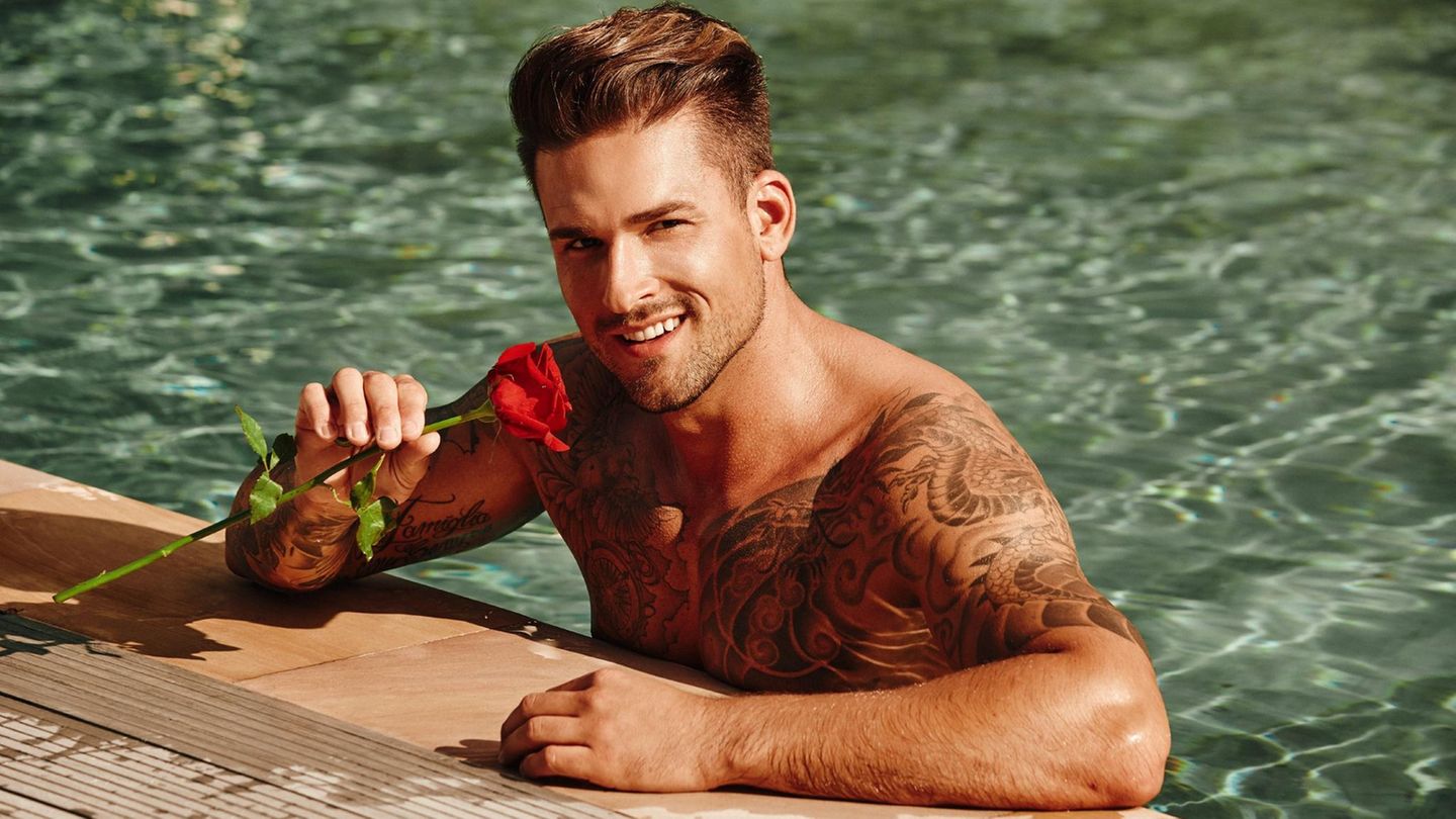 Bachelor in Paradise Bachelor in Paradise