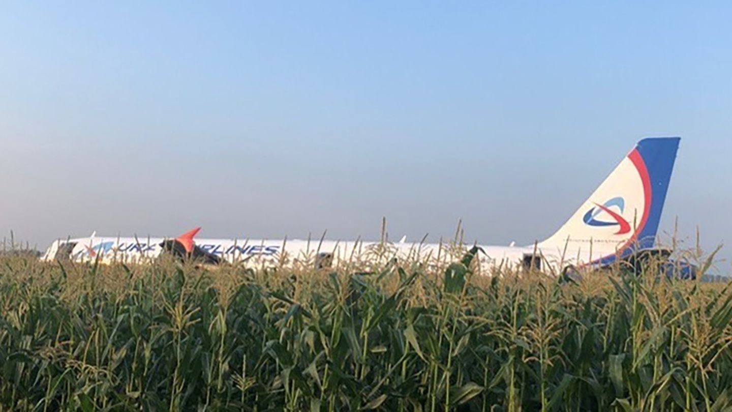 Die notgelandete Maschine der Ural Airlines in einem Maisfeld unweit von Moskau 