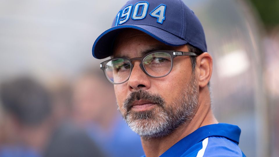 Bundesliga Thesen David Wagner führt Schalke wieder nach oben Bundesliga Thesen David Wagner führt Schalke wieder nach oben