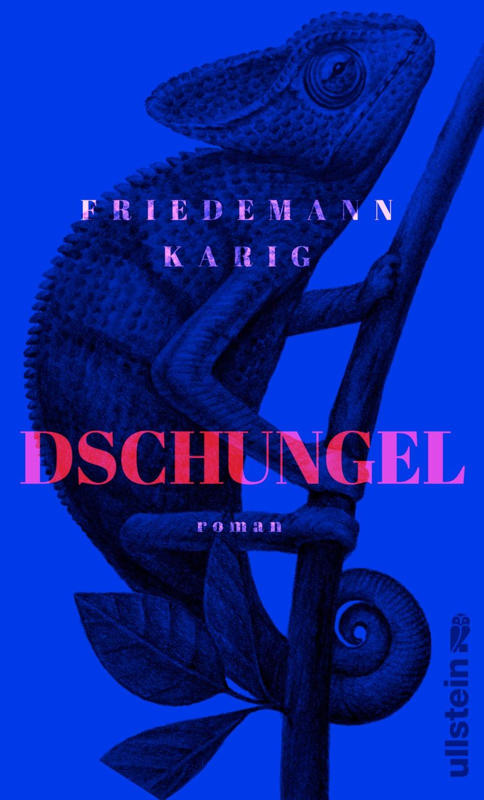Dschungel von Friedemann Karig