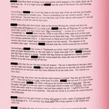 Ermittlungsprotokoll