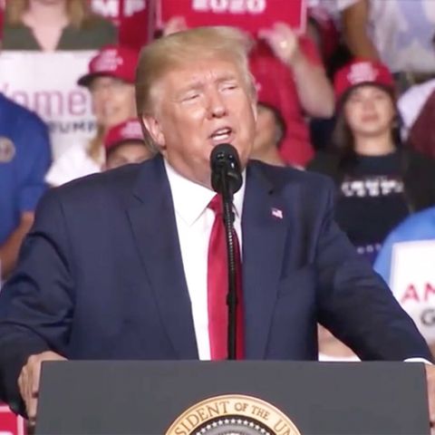 US-Wahlkampf: Trump attackiert Demonstranten persönlich: "ernsthaftes Gewichtsproblem"