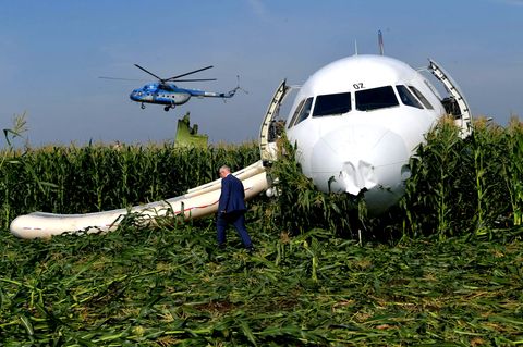 Die Piloten landeten die Ural-Airlines-Maschine in einem Maisfeld bei Moskau 