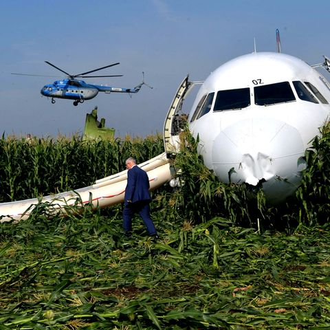 Die Piloten landeten die Ural-Airlines-Maschine in einem Maisfeld bei Moskau 