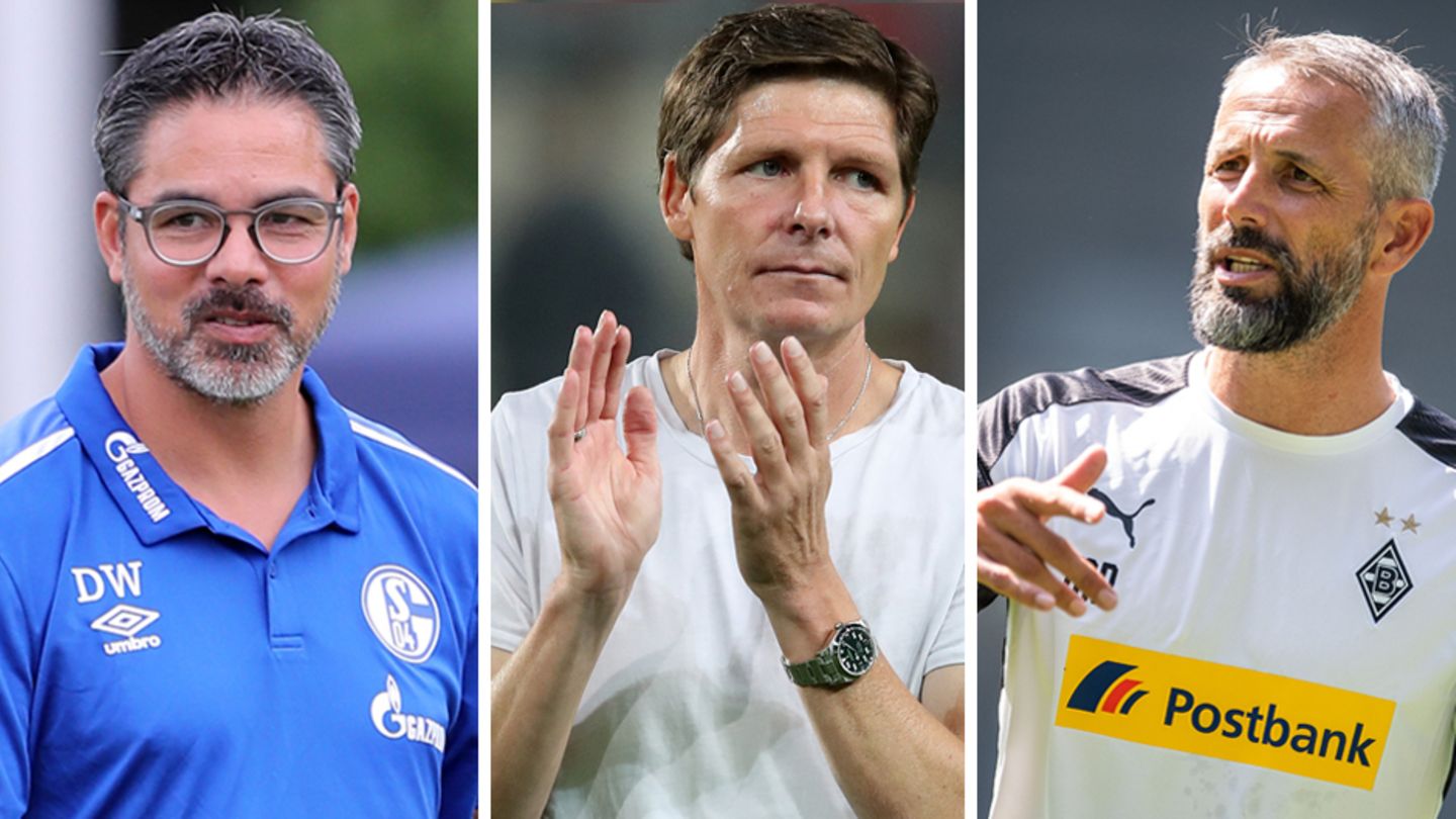 Bundesliga neu - neue Trainergeneration Bundesliga neu - neue Trainergeneration