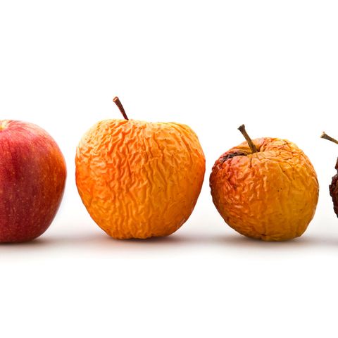 True Fruits Werbung