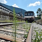 Kein großer Bedarf: In Richtung Zaragoza verkehren heute zwei Regionalzüge pro Tag, die für die  200 Kilometer lange Strecke knapp vier Stunden benötigen.