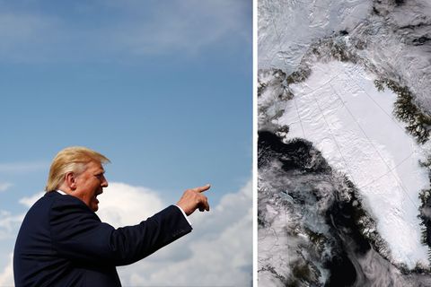 Hat ein Auge auf Grönland geworfen: Donald Trump