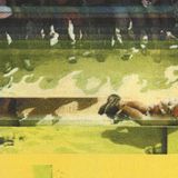 Lynchmorde in Brasilien