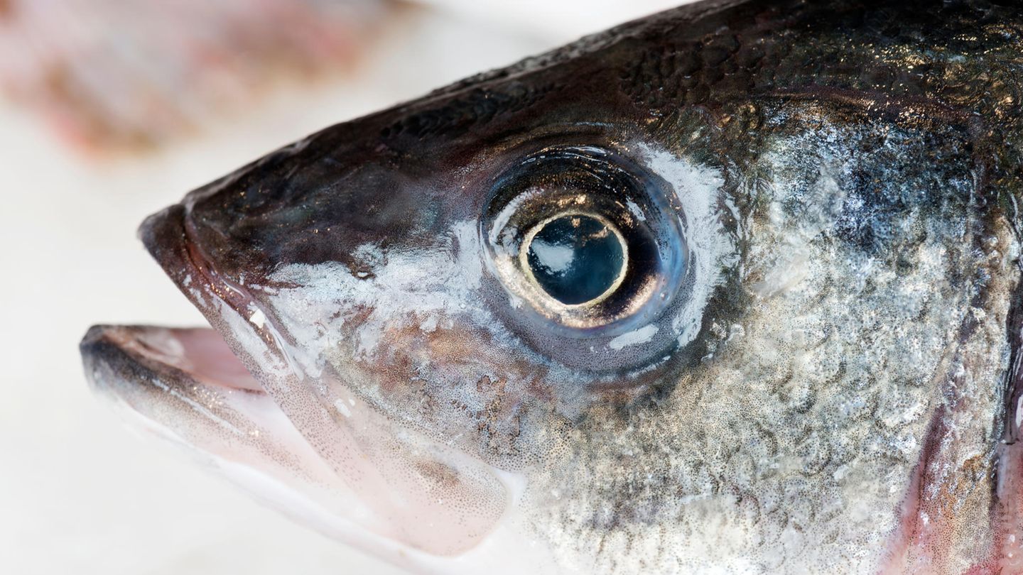Wie sehen die Augen aus?  Sind sie klar und prall nach außen gewölbt? Dann handelt es sich um frischen Fisch.