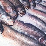 Wie riecht der Fisch?  Frischer Fisch riecht nie tranig oder fischig, sondern nach Jod. Kommt der Fisch aus dem Meer riecht er nach Meereswasser.