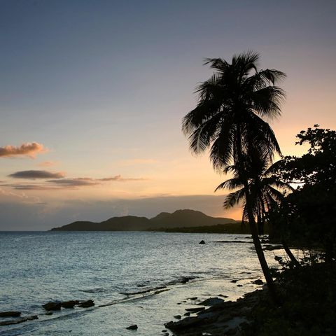 Puerto Rico, Vieques Island, Esperanza Bay