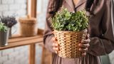 Frau mit Blumentopf