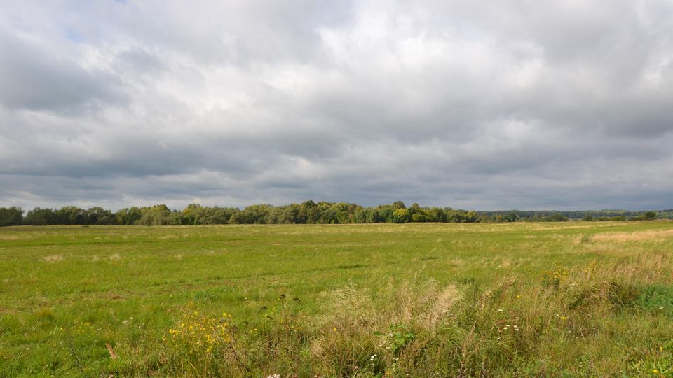 Die weiten Felder vor Zabrodino, dem früheren Lesgewangen