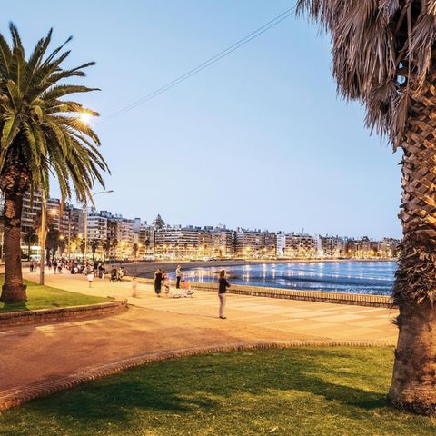 Die Playa de los Pocitos, eine Bucht in Montevideo
