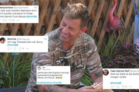 So reagieren die Twitternutzer auf das bevorstehende  PromiBB-Finale