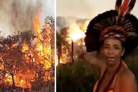 Indigene Brasilianerin macht ihrer Wut über die mutmaßliche Brandstiftung des Regenwalds im Amazonas Luft