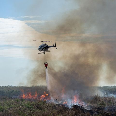 In Brasilien wüten die schwersten Waldbrände seit Jahren