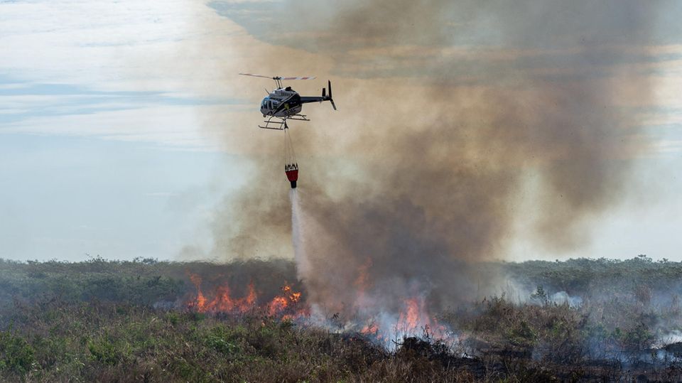 In Brasilien wüten die schwersten Waldbrände seit Jahren