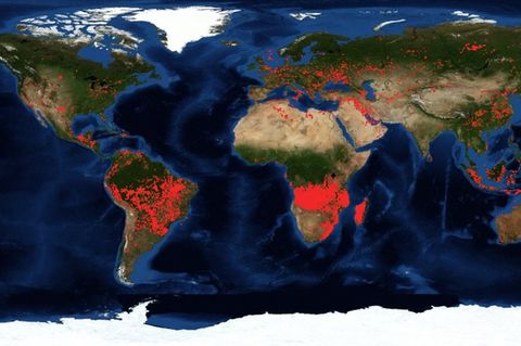 Eine Weltkarte der Nasa zeigt, wo es überall auf der Welt brennt