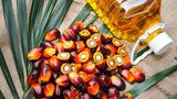 Palmöl