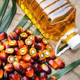 Palmöl