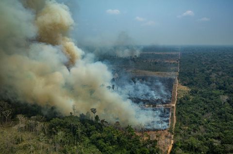 Amazonas-Feuer