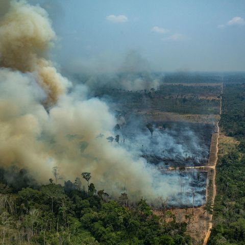 Amazonas-Feuer