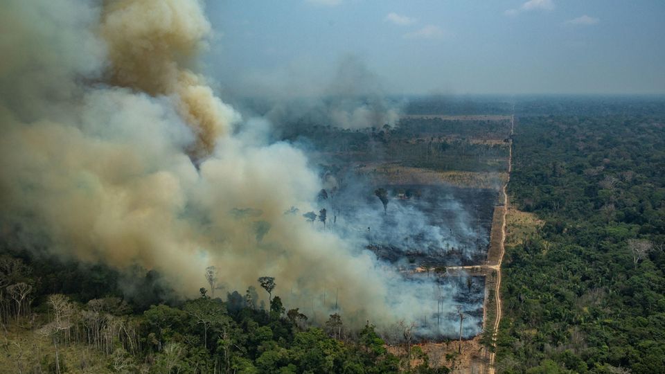 Amazonas-Feuer