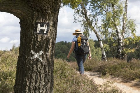 Die schönsten Wanderwege