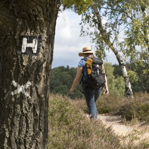 Die schönsten Wanderwege
