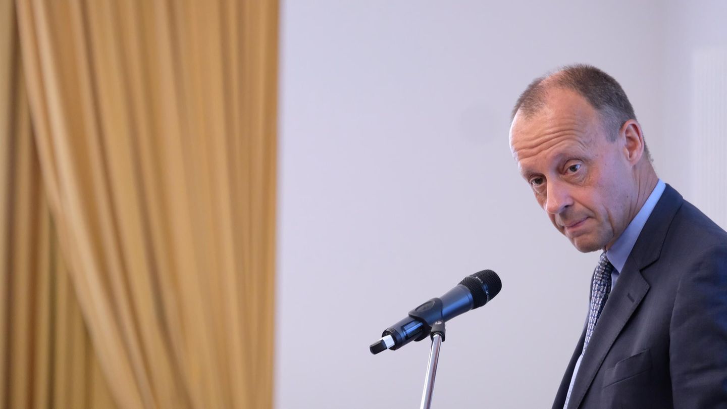 Friedrich Merz steht im Anzug vor einem Mikrofon. Er ist seitlich aufgenommen, seinen Kopf hat er leicht nach links gedreht