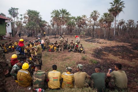 Bolivien, Otuquis: Feuerwehrleute ruhen sich während ihres Einsatzes im Amazonasgebiet aus