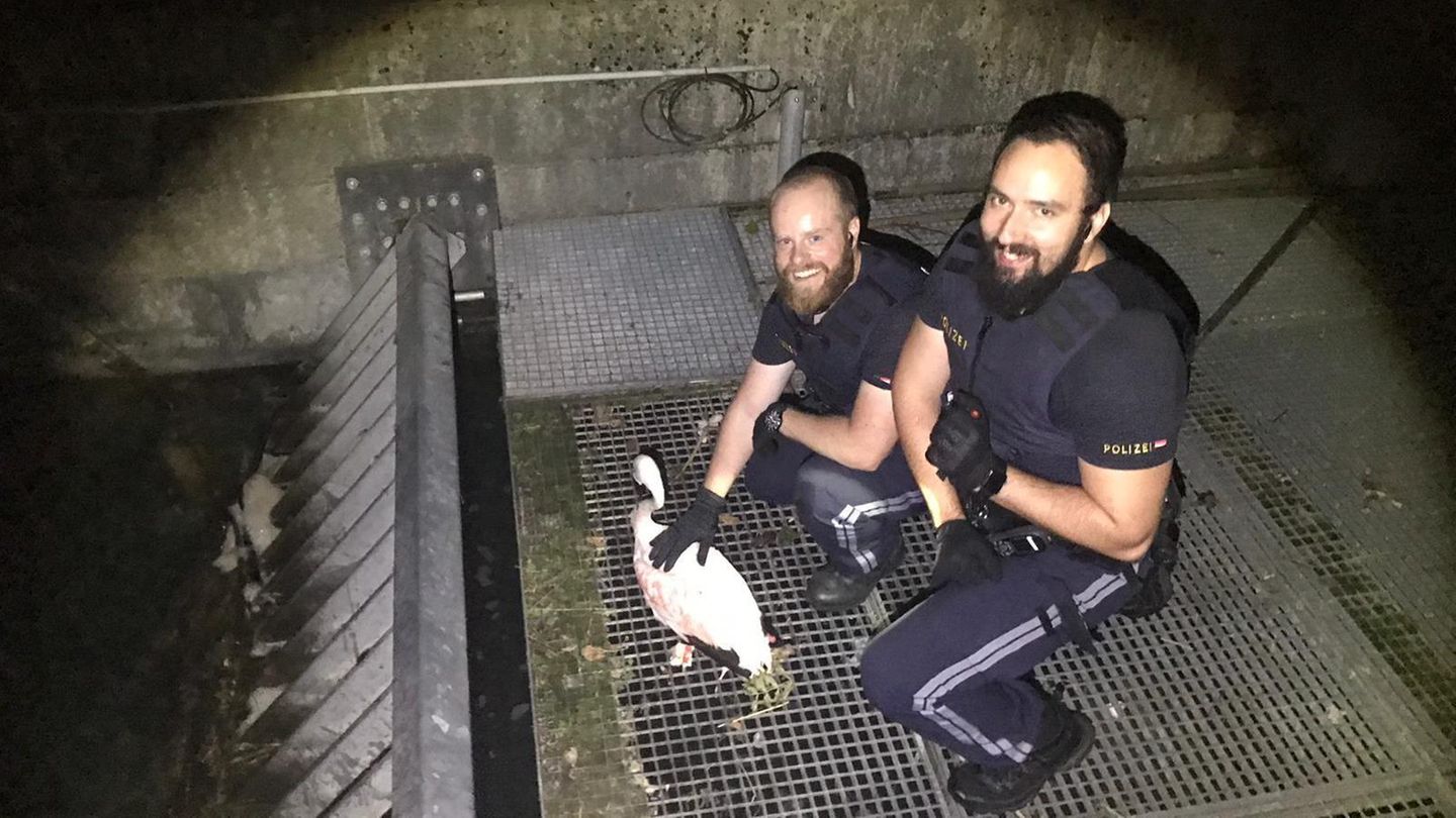 Zwei Polizisten hocken neben einem Flamingo