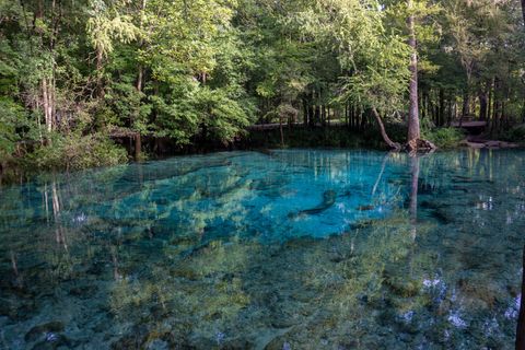 Ginnie Springs