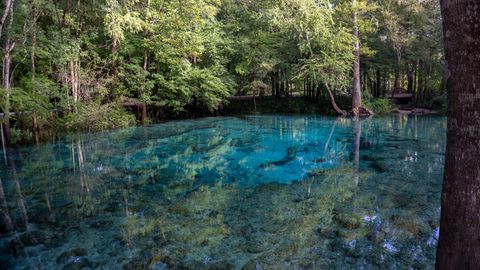 Ginnie Springs