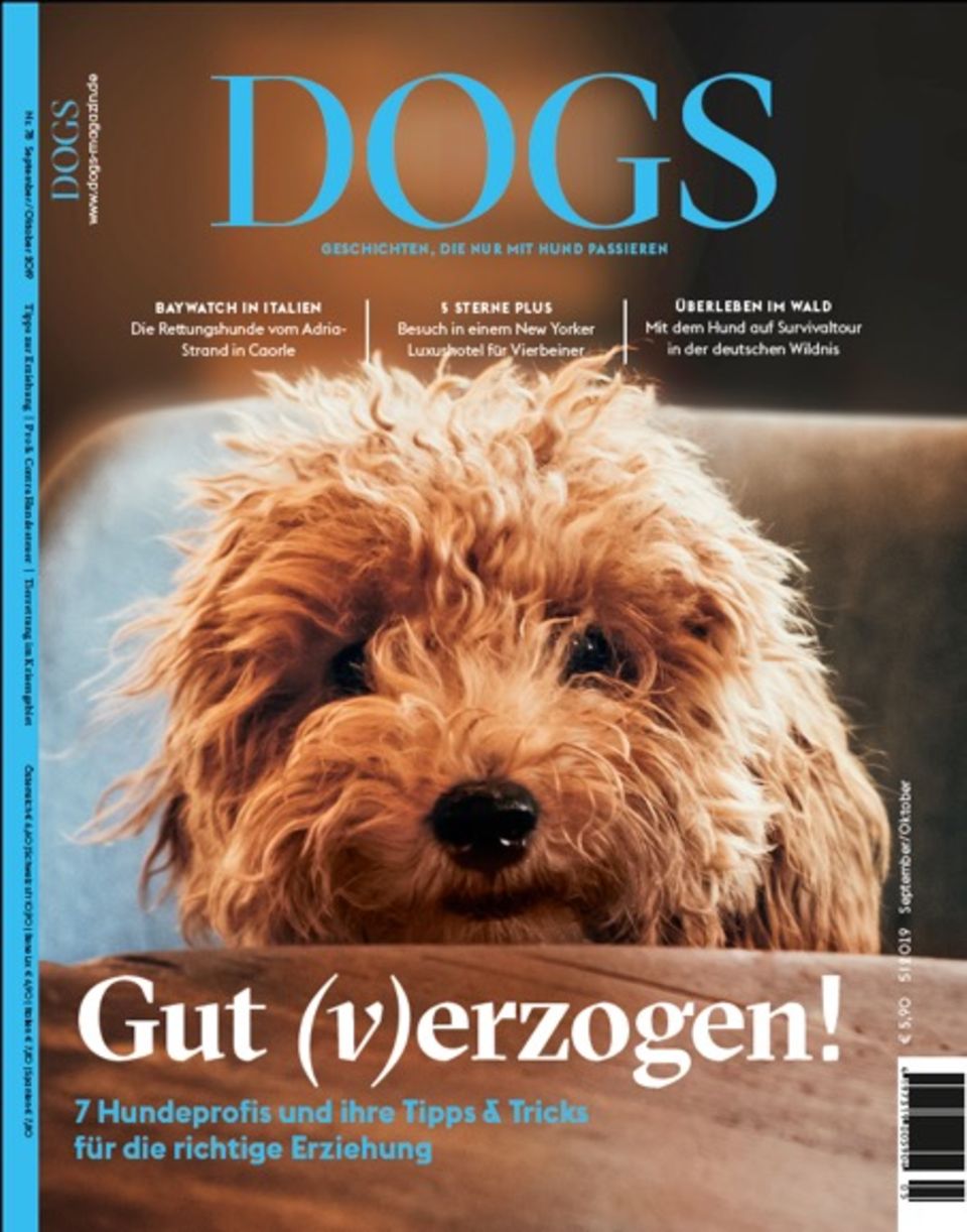 Nahost: Jetzt am Kiosk: die neue DOGS Jetzt am Kiosk: die neue DOGS