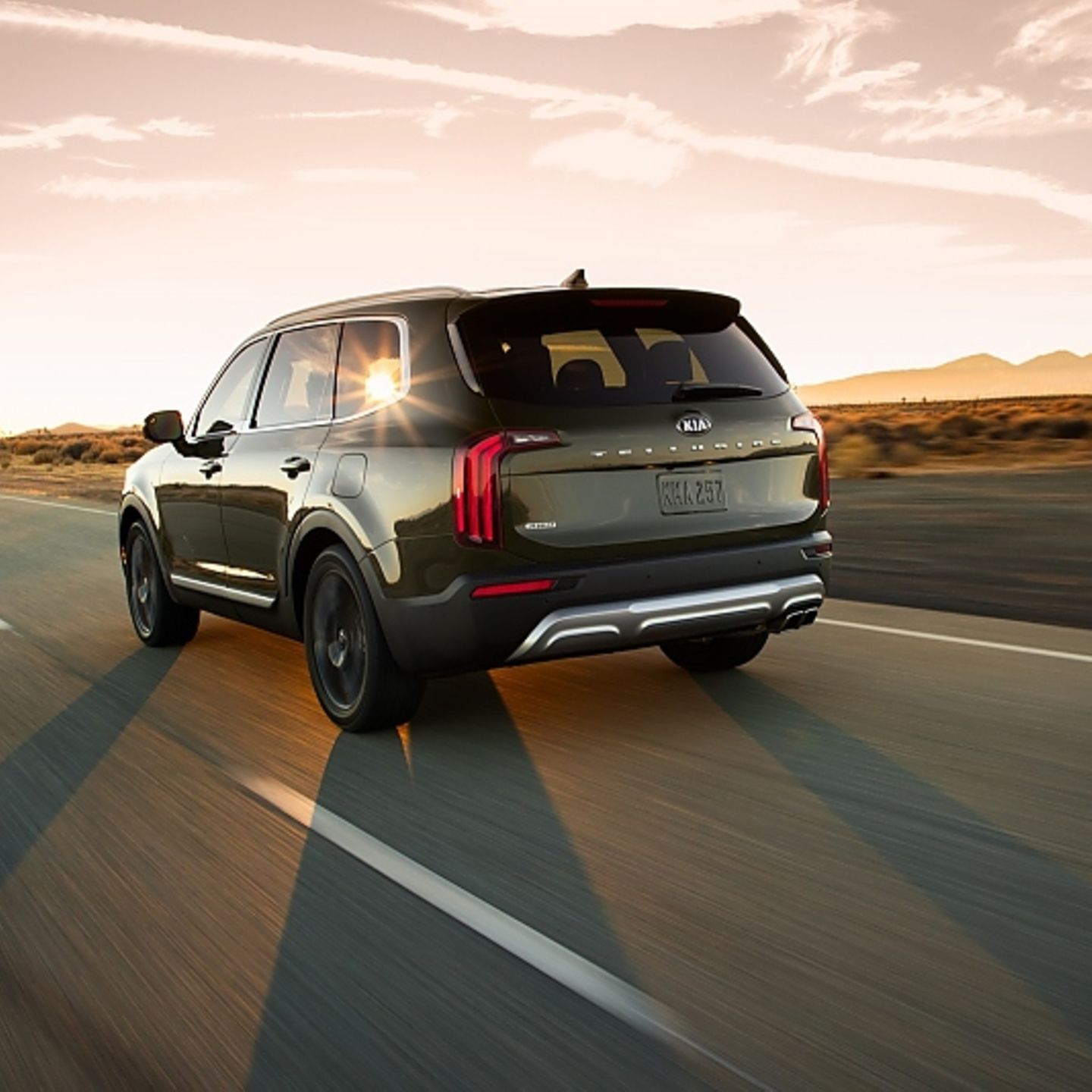 Kia Telluride 3.8 V6 SX: Aushängeschild | STERN.de