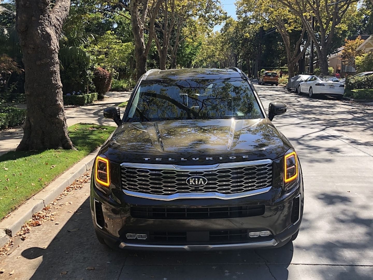 Kia Telluride 3.8 V6 SX