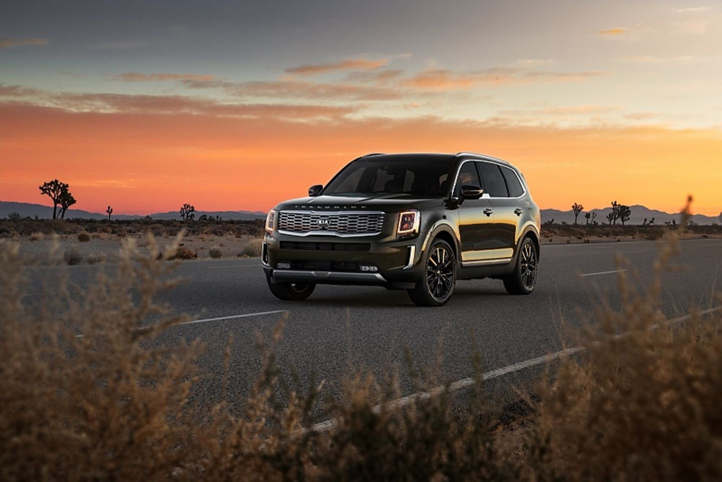 Kia Telluride 3.8 V6 SX