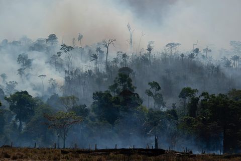Brasilien: Rauch steigt aus dem Regenwald im Amazonas auf