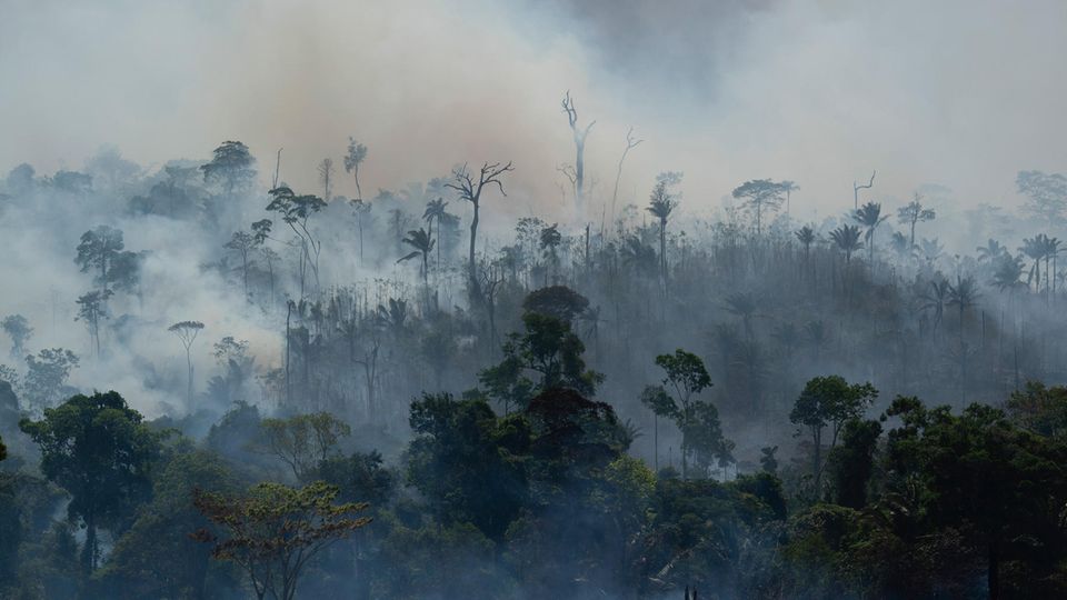 Brasilien: Rauch steigt aus dem Regenwald im Amazonas auf