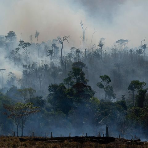 Brasilien: Rauch steigt aus dem Regenwald im Amazonas auf