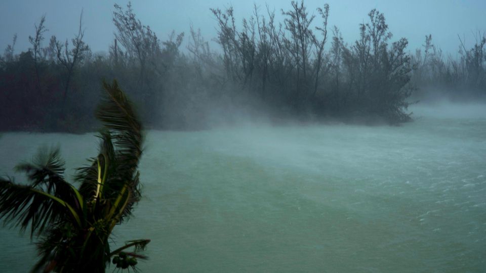 Sturmböen von Hurrikan Dorian peitschen die Baumspitzen und wirbeln das Wasser auf